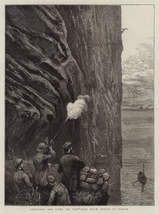 Caza de aves marinas en Bass Rock, Firth of Forth